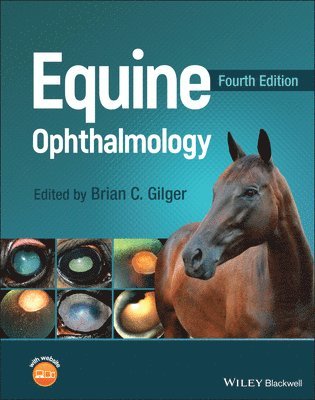 Equine Ophthalmology (inbunden)