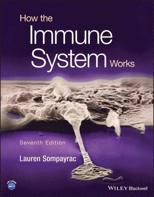 How the Immune System Works (inbunden)