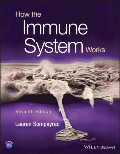 How the Immune System Works (häftad)