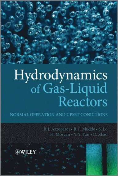 Hydrodynamics of Gas-Liquid Reactors (e-bok)