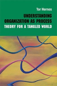 Understanding Organization as Process (e-bok)