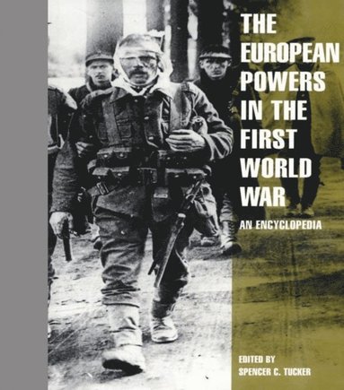 European Powers in the First World War (e-bok)