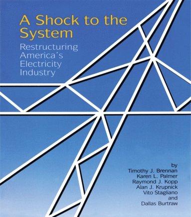 A Shock to the System (e-bok)
