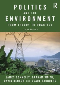 Politics and the Environment (e-bok)