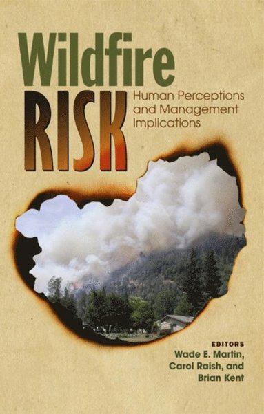 Wildfire Risk (e-bok)
