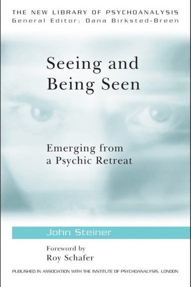 Seeing and Being Seen (e-bok)