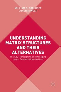 Understanding Matrix Structures and their Alternatives (inbunden)