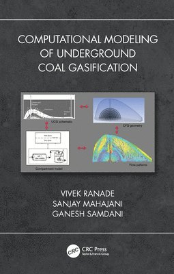 Computational Modeling of Underground Coal Gasification (inbunden)