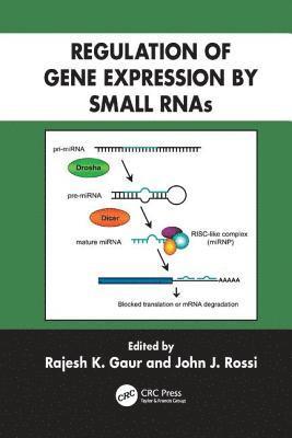 Regulation of Gene Expression by Small RNAs (hftad)