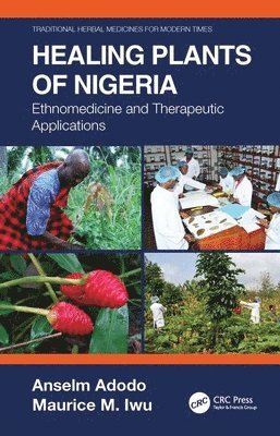 Healing Plants of Nigeria (inbunden)