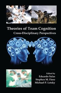 Theories of Team Cognition (hftad)