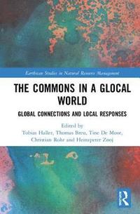 The Commons in a Glocal World (inbunden)