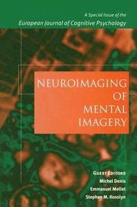 Neuroimaging of Mental Imagery (häftad)
