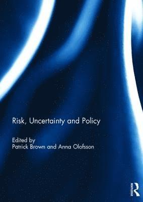 Risk, Uncertainty and Policy (inbunden)