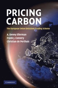 Pricing Carbon (e-bok)
