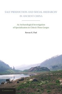 Salt Production and Social Hierarchy in Ancient China (e-bok)