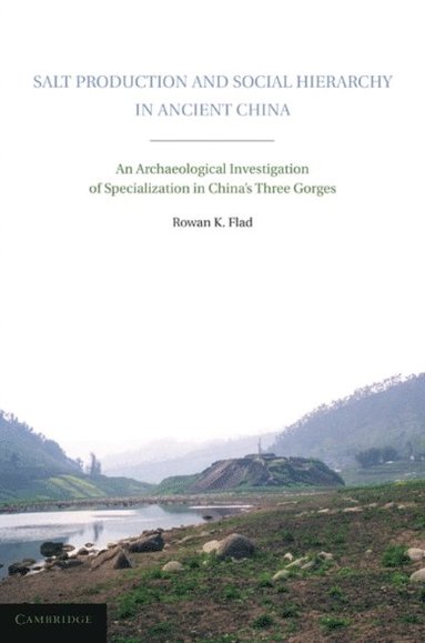 Salt Production and Social Hierarchy in Ancient China (häftad)