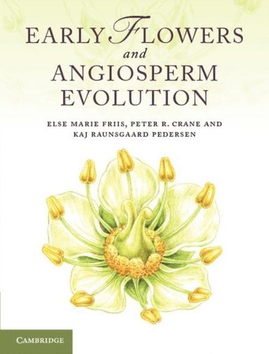 Early Flowers and Angiosperm Evolution (e-bok)