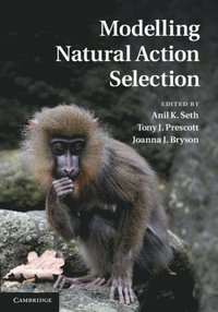 Modelling Natural Action Selection (e-bok)