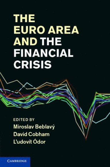 Euro Area and the Financial Crisis (e-bok)
