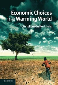Economic Choices in a Warming World (e-bok)