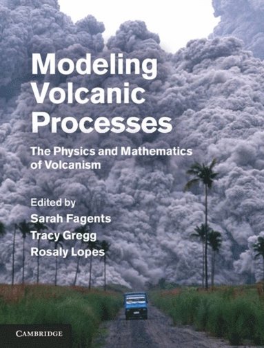 Modeling Volcanic Processes (e-bok)