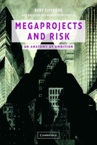 Megaprojects and Risk (e-bok)