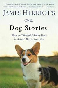 James Herriot's Dog Stories (häftad)