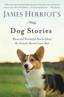 James Herriot's Dog Stories (inbunden)
