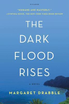 Dark Flood Rises (hftad)