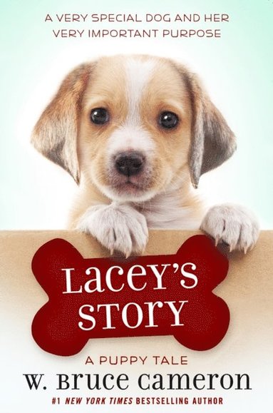 Lacey's Story (e-bok)