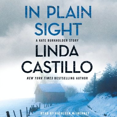 In Plain Sight (hftad)
