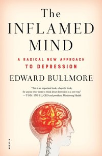 Inflamed Mind (e-bok)