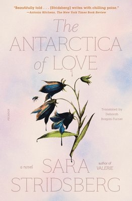 The Antarctica of Love (häftad)