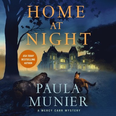 Home at Night (hftad)