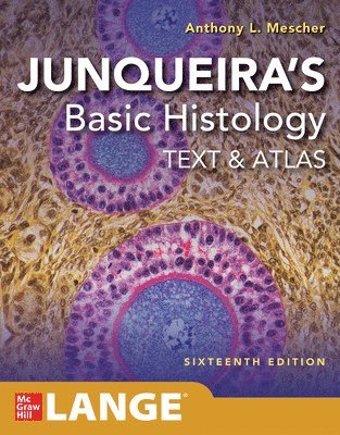 Junqueira's Basic Histology: Text and Atlas, Sixteenth Edition (h�ftad)