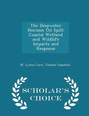 The Deepwater Horizon Oil Spill (hftad)
