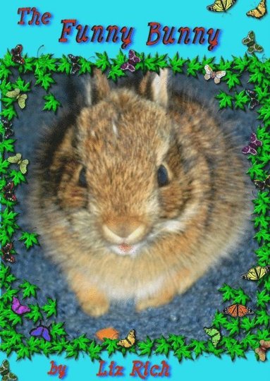 Funny Bunny (häftad)