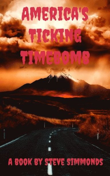 America's Ticking Timebomb (e-bok)