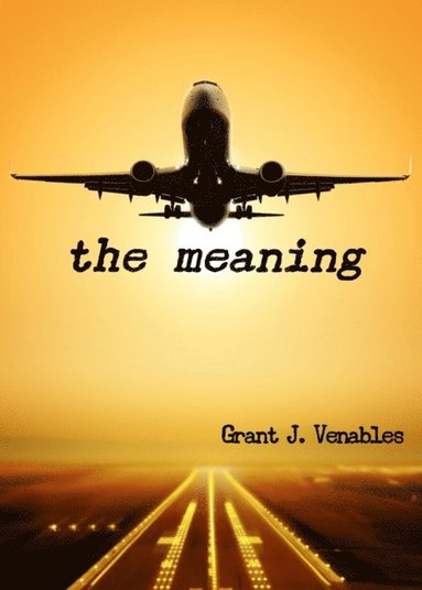 Meaning (häftad)