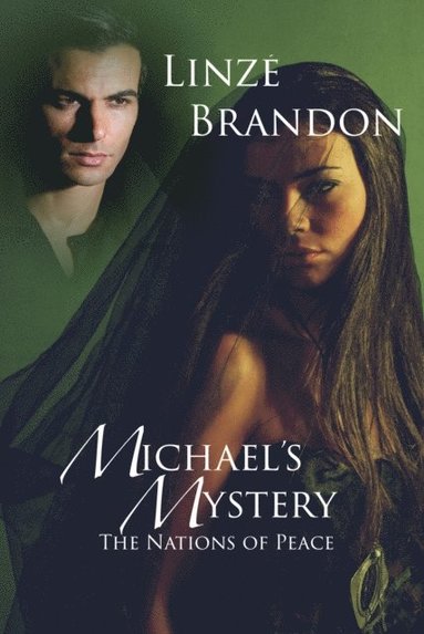 Michael's Mystery (hftad)