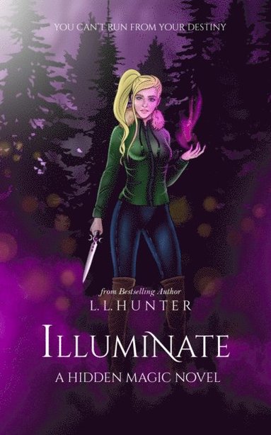 Illuminate (häftad)