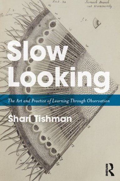 Slow Looking (inbunden)
