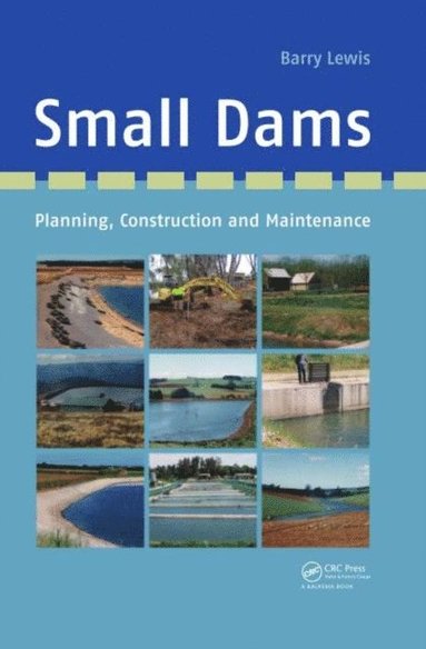 Small Dams (e-bok)