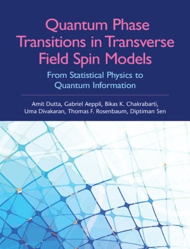 Quantum Phase Transitions in Transverse Field Spin Models (e-bok)
