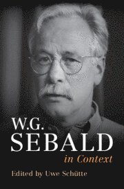 W. G. Sebald in Context (hftad)