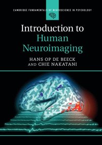 Introduction to Human Neuroimaging (hftad)