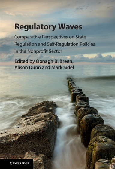 Regulatory Waves (e-bok)