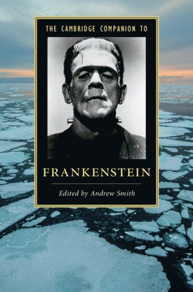 Cambridge Companion to Frankenstein (e-bok)