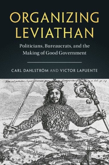 Organizing Leviathan (e-bok)